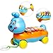 Bluelans Early Education 1 Year Olds Baby Xylophone Toy Musical Instrument Pull Along Educational Toy for Children & Kids Boys and Girls Christmas/Birthday Gift Colorful