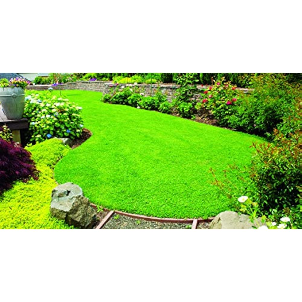 XSeed 440AS0135UCT5 Grasses MicroLawn & MicroClover Mixture, 5