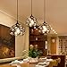Surpars House Plug-in Crystal Pendant Light with 15' Cord, Dimmer Switch in Cord, 1-Light, Black