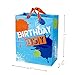 Hallmark Large Birthday Gift Bag with Tissue Paper (Birthday Boy)