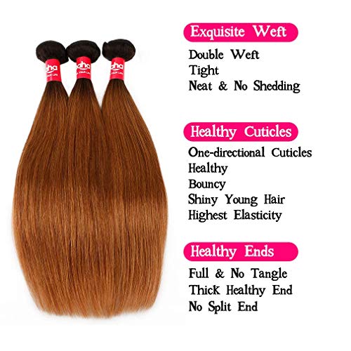 Haha Ombre Bundles with Closure T1B/30 Ombre Brazilian Straight Hair ...