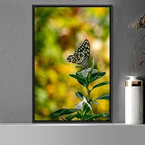 signwin Framed Canvas Wall Art Butterfly Expressive Farmhouse/Country...