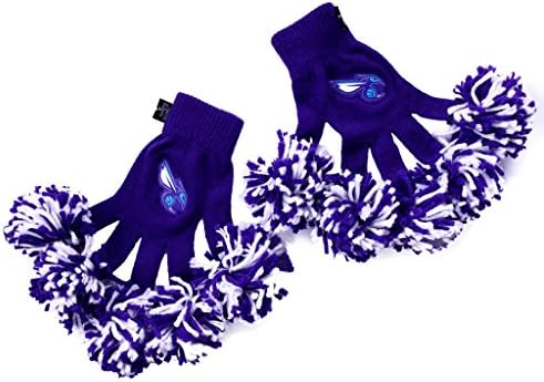 NBA Charlotte Hornets Embroidered Spirit Fingerz Pom Pom Gloves