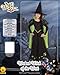 Rubies Child's Wizard of Oz Wicked Witch of The West Costume for Themed Parties and Halloween Small