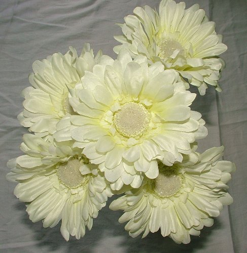 Artificial Single Stem Gerbera with Big Bloom - very dramatic - home garden (12 Pack, Cream / Ivory)