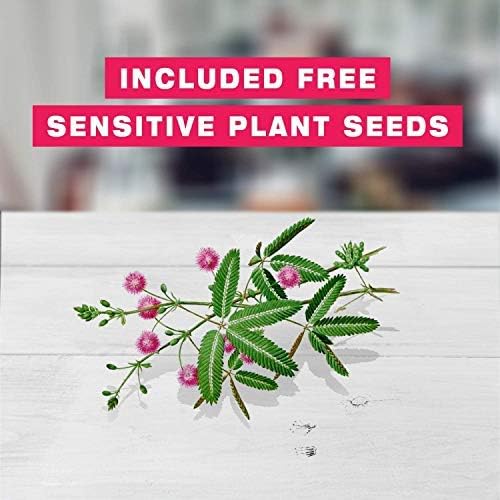 Grow Your own Venus Flytrap Kit, Easily Grow Carnivorous Venus Flytrap Plants with our Beginner friendly Venus Flytrap Kit - Image 4