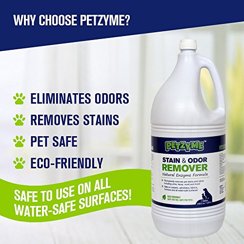 Petzyme Pet Stain Remover & Odor Eliminator, Enzyme Cleaner for Dogs