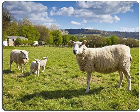 Smoomfly Mouse Pad Natural Rubber Mousepad IMAGE ID: 23333761 Idyllic rural view of pretty farmland and healthy livestock in the beautiful surroundings of the Cotswolds England UK