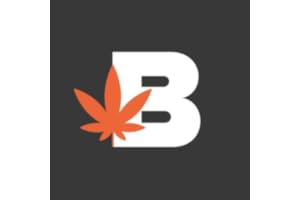 Budvue