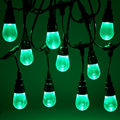 Newhouse Lighting RGBWSTRING18 Outdoor LED Color Changing RGB String Lights with Warm and Cool White Light with Weatherproof Technology, Heavy Duty 36-Foot Cord with 18 Hanging Sockets and Remote