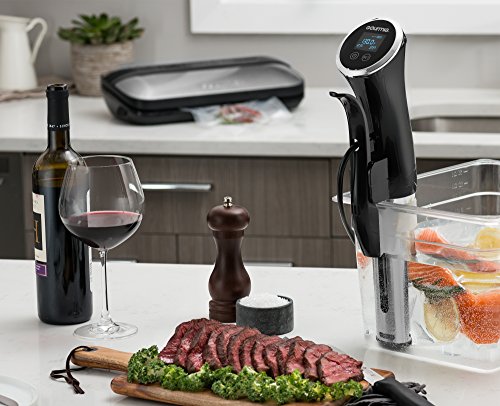 gourmia immersion circulator