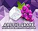 Ice Breakers Ice Cubes Sugar Free Gum with Xylitol, Arctic Grape, 40 Piece