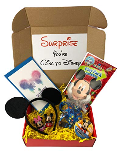 Walt Disney World Gift Basket Buy Online