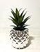 Porcelain (Silver) Potted Artificial Succulent 7.8