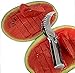 GreenEssentials Sturdy Watermelon Slicer, 9.2 x 1.18 Inches Silver