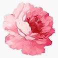 Flower Pink Peony Vinyl Waterproof Sticker Decal Car Laptop Wall Window Bumper Sticker 5"