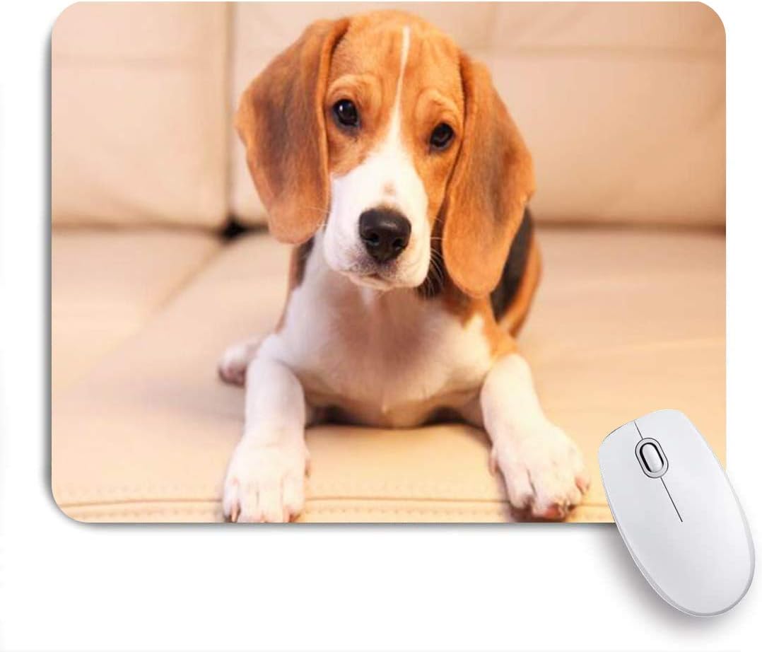 Amazon Eilannaマウスパッド かわいいビーグル子犬従順な革動物野生動物犬ハッピーハウンドソファ ゲーミング オフィス最適 高級感 おしゃれ 防水 耐久性が良い 滑り止めゴム底 ゲーミングなど適用 用ノートブックコンピュータマウスマット Eilanna マウスパッド 通販