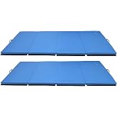 BalanceFrom Fitness GoGym 120x48in Extra Thick Anti Tear High Density All Purpose Aerobic Gymnastics Mat with Velcro Carrying Handles