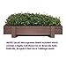 Microgreens Growing Kit with Beautiful Wooden Countertop Planter, Soil & Organic Sunflower, Rambo Radish and Mixed Salad Seeds for 2 Crops. 100% Guaranteed to Grow.thumb 3