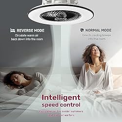 YANASO Ceiling Fan with Light