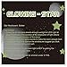 Glowing in the Dark Stars Wall Stickers - Glowing Reusable Ceiling Decors of 220 Stars and 1 Moon Set for Kids Bedding Rooms or Birthday Party