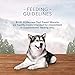 Blue Buffalo Wilderness Trail Treats High Protein Grain Free Dog Biscuits Crunchy Dog Treats, Turkey Recipe, 24-oz Bag