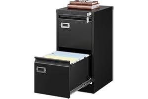 Letaya 2 Drawer File Cabinet,Metal Small Narrow Filing Cabinets with Lock,Under Desk Storage A4/F4/Letter/Legal for Home Offi