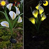 Chasgo Solar Decorative Garden Stake Light Outdoor, Led Lighting Calla Lily Flower Solar Graden Light Outdoor Stake, White Cally Lily Flower