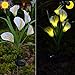 Chasgo Solar Decorative Garden Stake Light Outdoor, Led Lighting Calla Lily Flower Solar Graden Light Outdoor Stake, White Cally Lily Flower