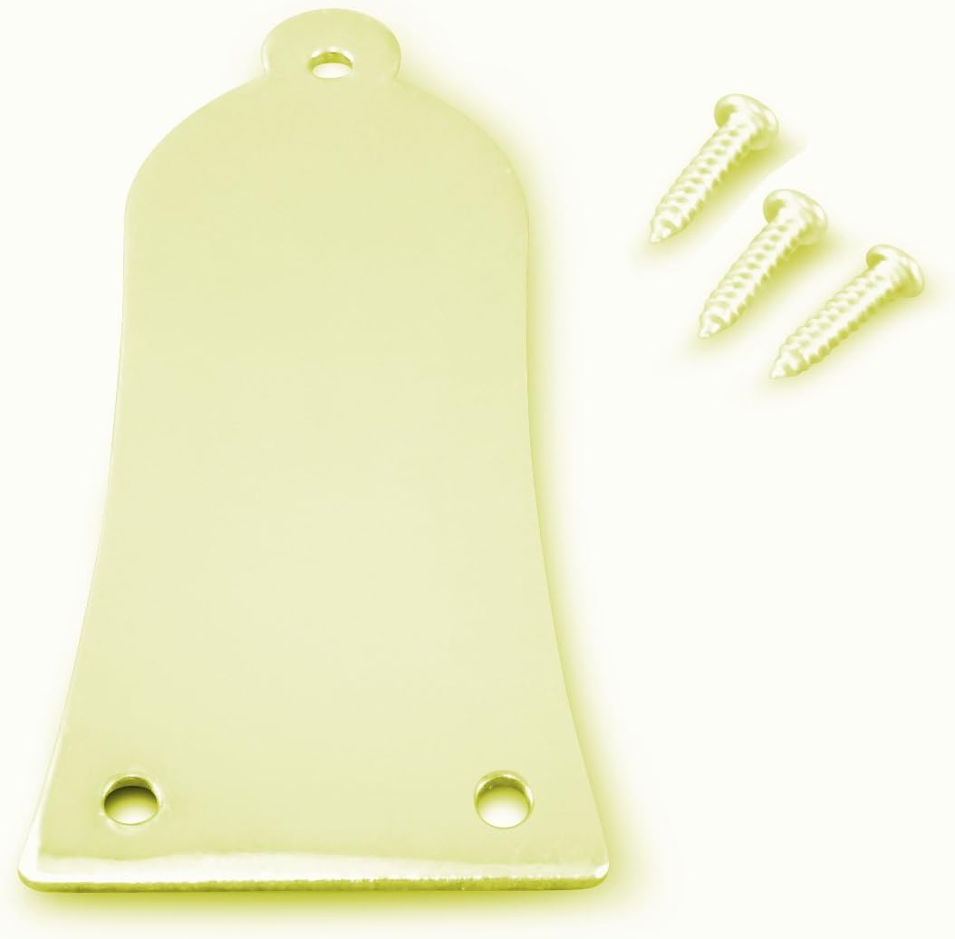 Engraved personalised guitar truss rod cover plate fits gibson les paul -ref YXG