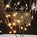 Led Branch Lights,Crytech 30 Inch Battery Powered Decorative Lights Willow Twig Lighted Lamp Floral Lights 20 Bulbs for Home Christmas Wedding Party Garden Decor Decoration Warm White (1 Pack)thumb 4