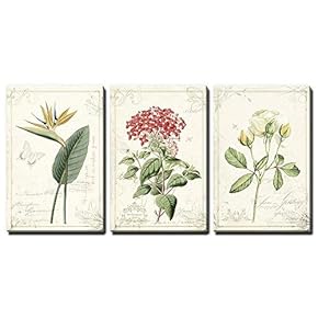 3 Panel Canvas Wall Art - Vintage Style Plants and Flowers - Giclee Print Gallery Wrap Modern Home Art Ready to Hang - 16"x24" x 3 Panels