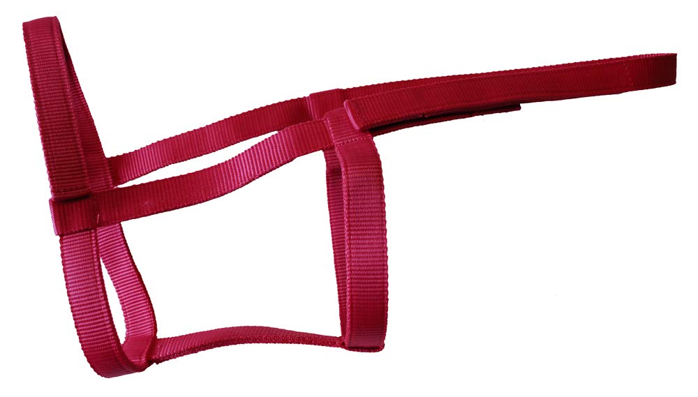 Rhinegold Field Safe Headcollar-Extra Full-Raspberry — image 1