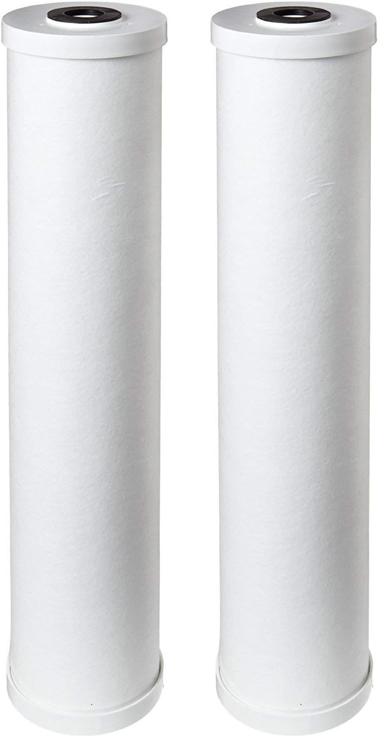 Pentek RFC20-BB Carbon Filter Cartridge, 20" x 4-1/2" (Pack of 2)