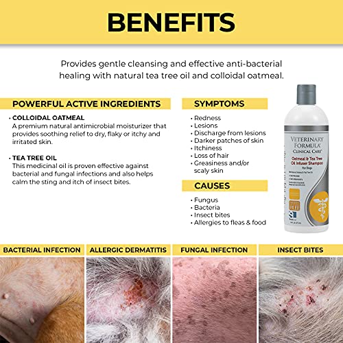 Veterinary Formula Clinical Care Dog Shampoo with Oatmeal and Tea Tree