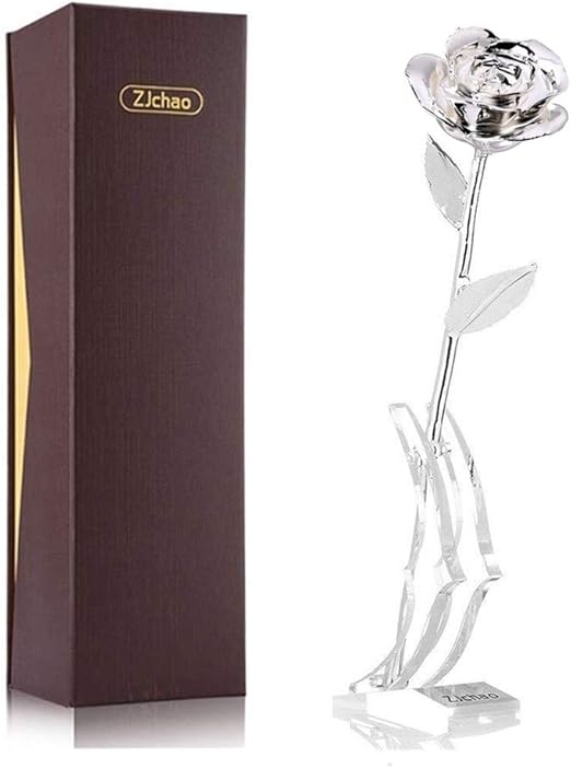 silver plated gifts for her