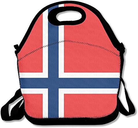 Norway Flag Cute Lunch Bag Insulated Lunch Tote Bags Bento Cooler Bag