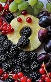 Notebook: colorful fruit lean delicious healthy fit bio by Wild Pages Press