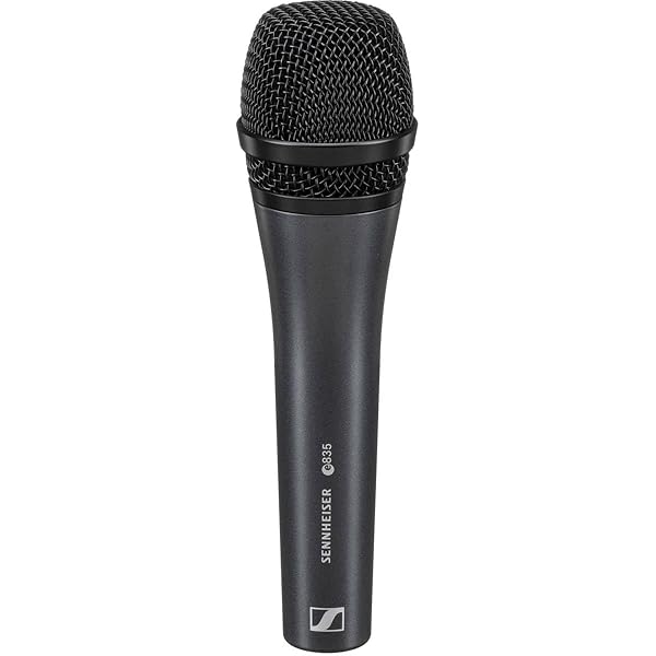 Amazon.com: SENNHEISER E825-S Handheld Cardiod Dynamic
