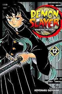 Demon Slayer Kimetsu No Yaiba 16 Book Series Kindle Edition