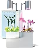 Brio 43368 Aquaponics Sytem, White