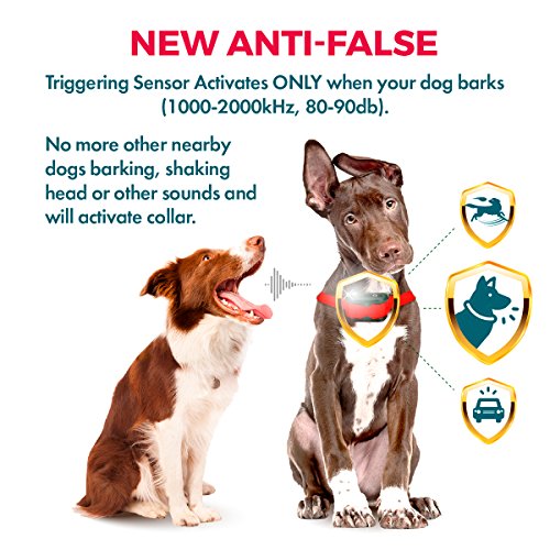 [NEW 2018 VERSION] Bark Collar with UPGRADED Smart Chip - Best Intelligent Dog Shock, Beep Anti-Barking Collar. No Bark Control for Small / Medium/Large Dogs - Stop Barking Safe Humane Device - Thumbnail 5