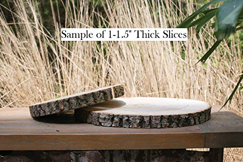 Rustic Wedding Centerpiece - Round Tree Bark Slice - Rustic Wood Tree Trunk Slices - Natural Wood Slice - Tree Slice Cake Stand