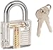 Biglock 4 Pack Locks for Locksmith Practice