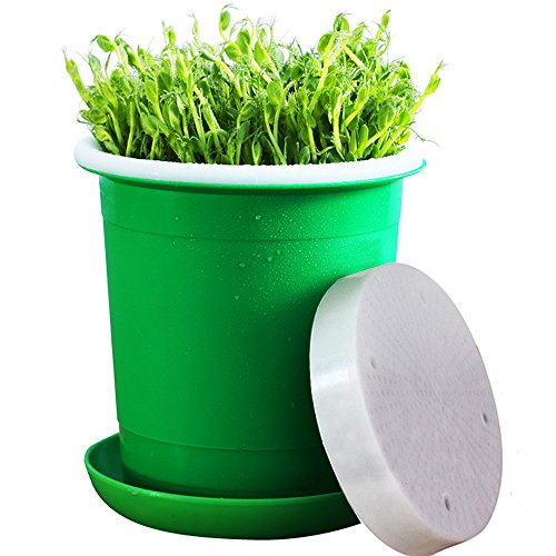Seed Sprouter Pot,Big Capacity 8.27"x8.27"x8.4"Green Health Bean Sprouting Device 5 in 1:Inner+Outer bucket,Pressure plate,Lid,Tray and Counting Cup