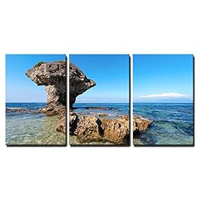 Flower Vase Coral Rock with Blue Sky x3 Panels