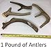 Antler Man Premium Deer Antler Pieces - Dog Chews - Sold by The Pound