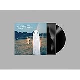 Stranger In The Alps