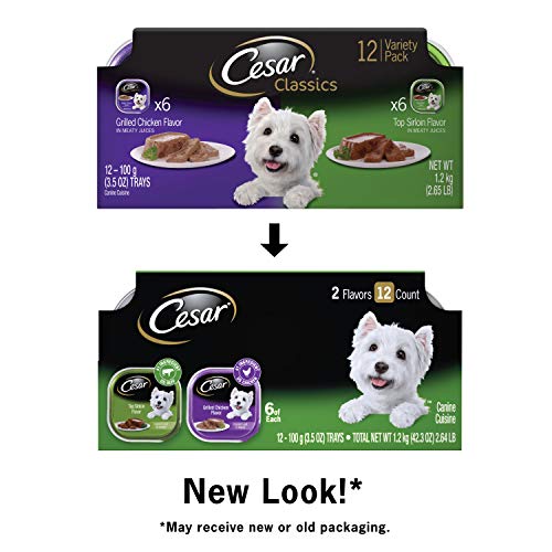 Cesar Classics Dog Food Variety Pack - Image 11