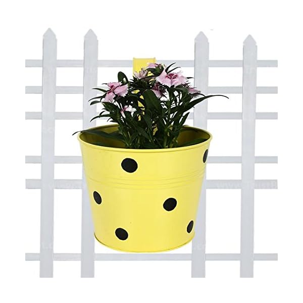 TrustBasket Single Pot Railing Plant with Polka Dots (Pack of 5) - (Multicolour) Dotted Railing Metal Planters for… - Image 6